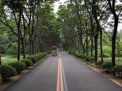 -日照海滨国家森林公园