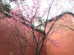 -乌山风景区