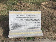 -唐城墙遗址公园