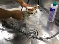 -宠物世家(仲盛世界商城店)