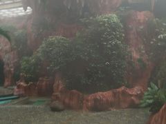 -关东文化园