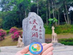 -天鹿湖森林公园