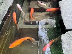 -31号公馆(黄兴广场白果园店)