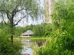 -新虹桥中心花园