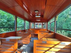 -合肥滨湖国家森林公园