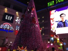 -深圳龙华星河COCO City(民治店)