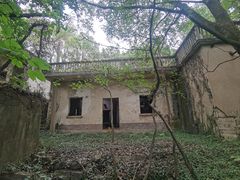 -上海佘山国家森林公园天马山园