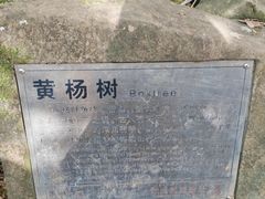 -许家山