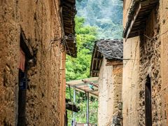 -杨家堂村