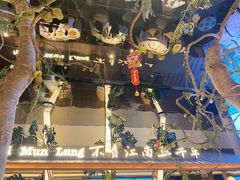 -桂满陇·海市蜃楼·黑金(国金店)