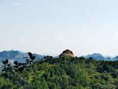 -磬锤峰森林公园