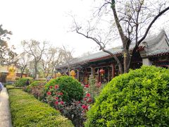 -白家大院·王府宫廷菜(苏州街店)