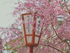 -醍醐寺