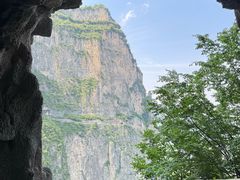 -王莽岭风景区