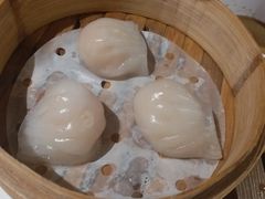 -纽斯特牛排自助餐厅(浦东文峰广场店)
