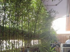 -芸鲜季·云南野生菌餐厅· 云南风物味研社(闵行店)