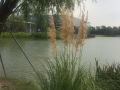 -花园饼屋·吐司蛋糕面包(星海店)