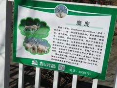 -北京鹿世界主题园