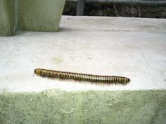 -宁波五龙潭景区