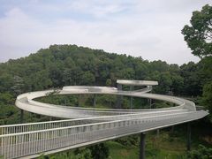 -光明小镇欢乐田园