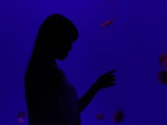 -多彩贵州城极地海洋世界