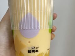 多肉芒果酸奶饮-一只酸奶牛(来福士店)