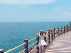 -广东惠东海龟国家级自然保护区