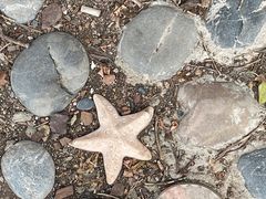 -大连金石滩滨海国家地质公园