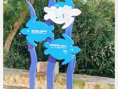 -广东惠东海龟国家级自然保护区