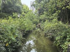 -水绘园
