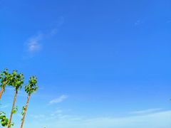 -终南山国家森林公园