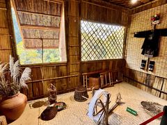 -西双版纳原始森林公园