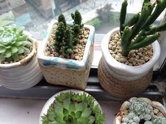 -笑福亭料理小馆(解放碑店)
