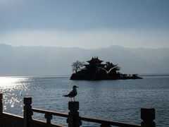 -小普陀