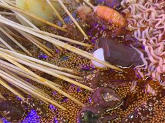 -徐妹串串香(春熙路店)