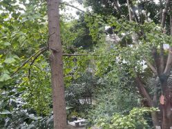 -莲生母婴月子中心(清水河公园店)