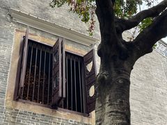 -碧江金楼