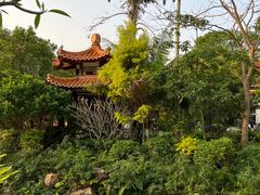 -深圳仙湖植物园