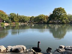 -南京珍珠泉风景区