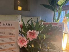 -施奈儿.洗头頭療.按摩SPA.采耳(上梅林店)