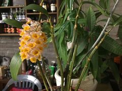 -邹记·美食(斗门店)