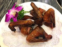 -鸽鸟轩(石岐店)