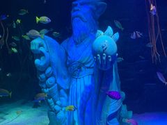 -沈阳海洋探索中心