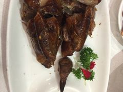 -鱼翅楼·津派砂锅鱼翅(水上公园店)