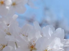 -龙美术馆(西岸馆)