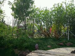 -武清南湖绿博园