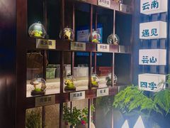 -芸山季·云南野生菌火锅(人民广场来福士店)