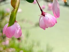 -瑶湖湿地自然保护区