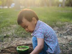 -永定河休闲森林公园