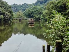 -青城山